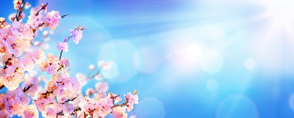 戰(zhàn)疫情，北京韋林公司全體員工齊心協(xié)力共克時艱！